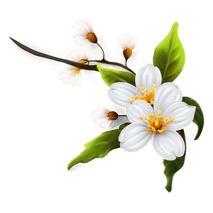 Blossom Background PNG 56 PNG with transparent background
