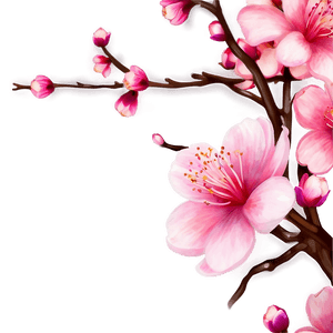 Blossom Beauty PNG 06252024 PNG image with transparent background