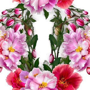 Blossom Beauty PNG mci76 PNG image with transparent background