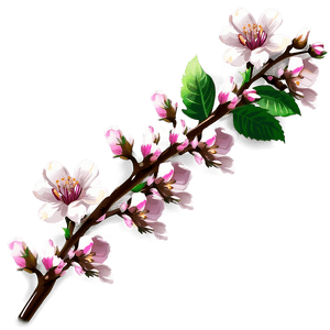Blossom Clipart PNG 14 PNG