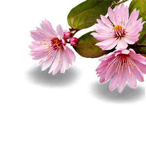 Blossom Clipart PNG wbm PNG with transparent background