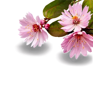 Blossom Clipart Png Wbm PNG Image