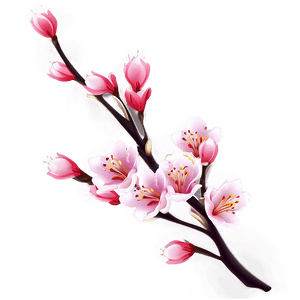 Blossom Clipart PNG yrt60 PNG with transparent background