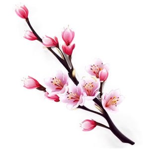 Blossom Clipart Png Yrt60 PNG Image