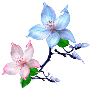 Blossom Fantasy PNG 87 PNG image with transparent background