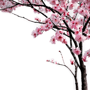 Blossom Garden PNG 14 PNG with transparent background