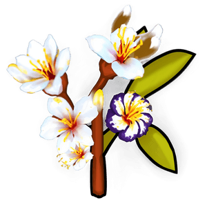 Blossom Icon PNG 06252024 PNG image with transparent background