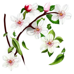 Blossom Illustration Png 92 PNG Image