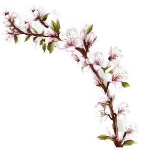 Blossom Overlay PNG 06252024 PNG with transparent background
