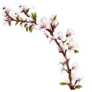 Blossom Overlay Png 06252024 PNG Image