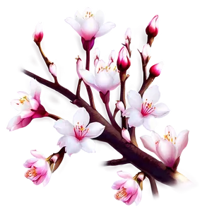 Blossom Print Illustration Png Ihk39 PNG Image