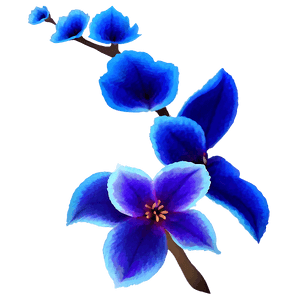 Blossom Silhouette PNG cba PNG image with transparent background