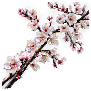 Blossom Texture PNG idg PNG image with transparent background