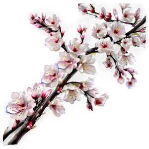 Blossom Texture Png Idg PNG Image