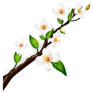 Blossom Theme Png 06252024 PNG Image