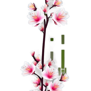 Blossom Vector PNG 06252024 PNG with transparent background