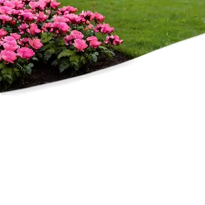 Blossoming Flower Bed Png Djx PNG Image