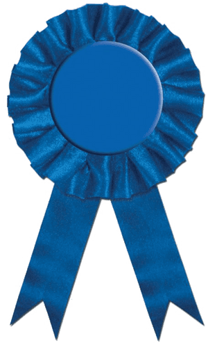 Award Ribbon Png Clipart - Transparent Background Award Ribbon Png, Png Download PNG image with transparent background