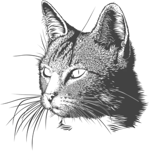 Blue Black Cat Drawing PNG Image