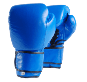 Blue Boxing Gloves Isolated PNG image with transparent background
