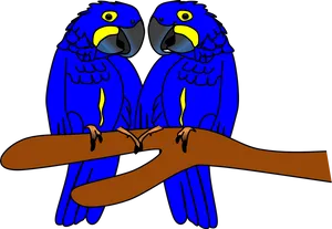 Blue Budgies Perching PNG Image