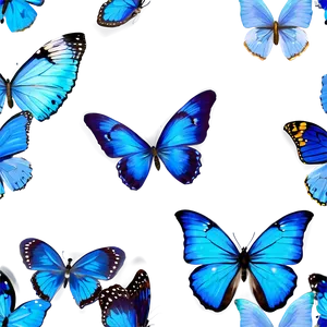 Blue Butterflies A PNG Image