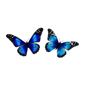 Blue Butterflies Illustration Png Ddq14 PNG Image