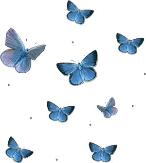 Blue Butterflies Pattern PNG image with transparent background