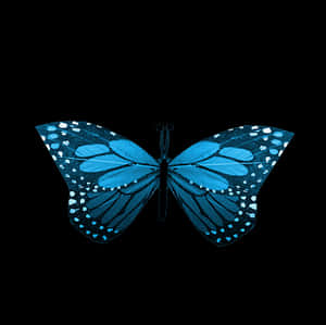 Blue Butterfly Black Background PNG image with transparent background