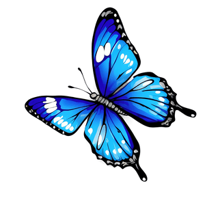 Blue Butterfly Clipart PNG 05212024 PNG image with transparent background