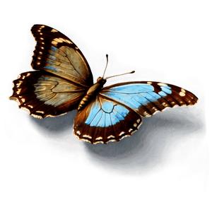 Blue Butterfly Clipart PNG hrs PNG image with transparent background