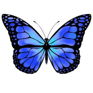 Blue Butterfly Graphic Art PNG Image