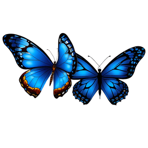 Blue Butterfly Illustration PNG 40 PNG image with transparent background