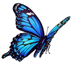 Blue Butterfly Illustration PNG fko33 PNG image with transparent background