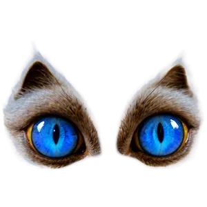 Blue Cat Eyes Png 92 PNG Image