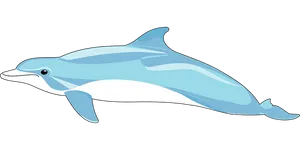 Blue Dolphin Illustration PNG Image