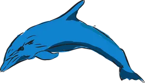 Blue Dolphin Illustration PNG Image