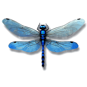 Blue Dragonfly PNG ikw29 PNG image with transparent background