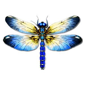 Blue Dragonfly PNG urb PNG image with transparent background
