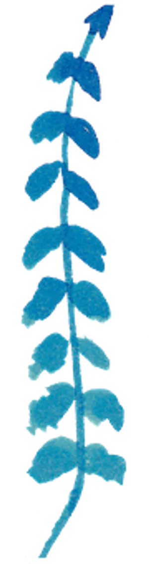 Blue Fern Leaf Artwork PNG Image