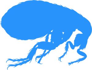 Blue Flea Silhouette PNG Image