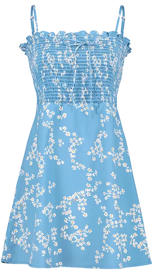 Blue Floral Summer Dress PNG Image