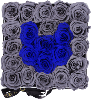 Blue Rose, HD Png Download PNG with transparent background