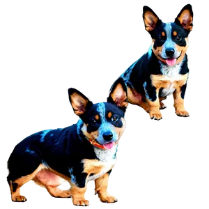 Blue Heeler Family Png 73 PNG Image