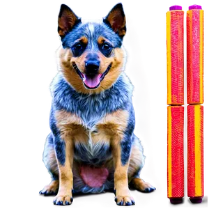 Blue Heeler Training Session Png Dxy PNG Image