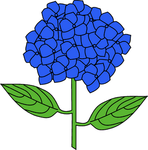 Hydrangea Clip Art - Hydrangea Clipart, HD Png Download PNG image with transparent background