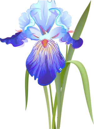 Blue Iris Flower Illustration PNG Image