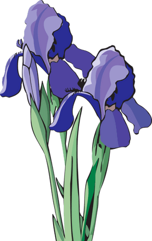 Flowering Family,eye,petal,orris Root,cut Flowers,tulip,clip - Volunteer State Book Award, HD Png Download PNG with transparent background