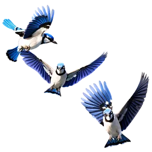 Blue Jay Flock In Sky Png Qht69 PNG Image