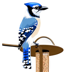 Blue Jay On Bird Feeder Png Ikm PNG Image